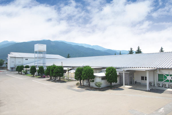 Yamanashi Factory